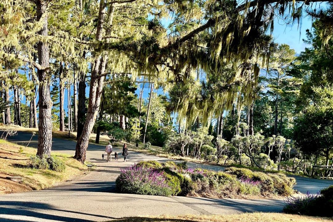 Photo of Others in Marconi