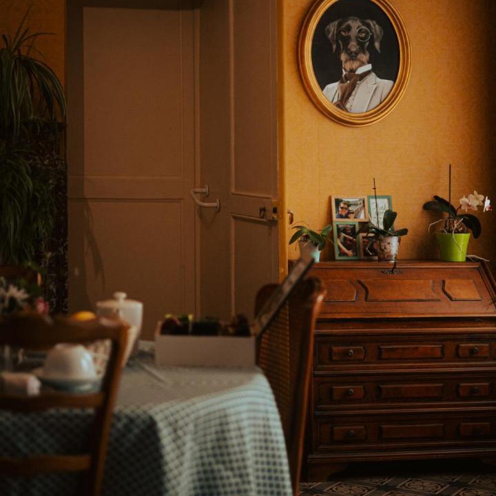 Photo of Others in Aubigny-sur-Nere