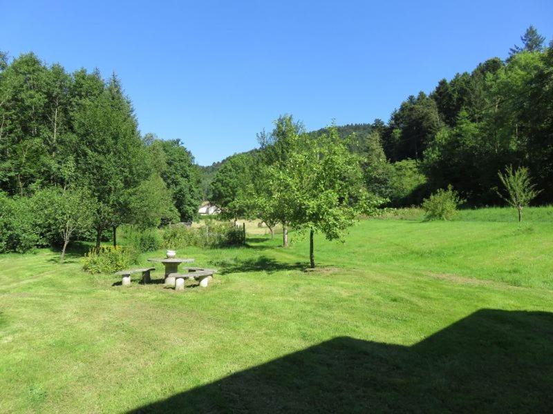 Photo of Others in Lubine