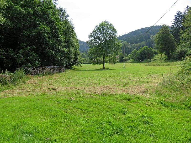 Photo of Others in Lubine