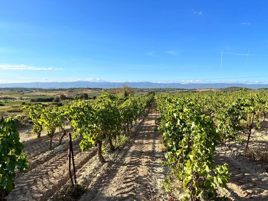 Photo of Others in Montbrun-des-Corbieres