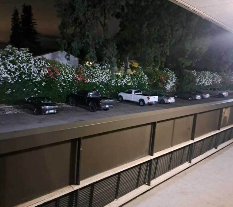 Photo of Others in Morse Park