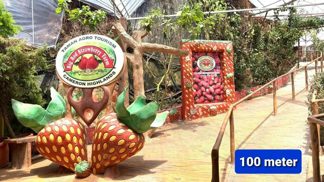 Photo of Patio Balcony in Brinchang