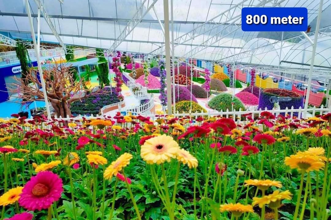 Photo of Others in Brinchang