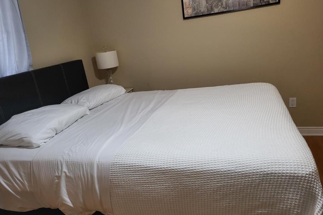 Photo of Others in Kingston