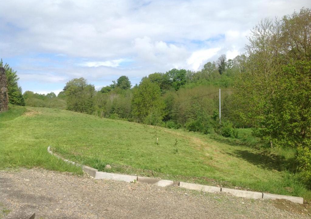 Photo of Others in Bernieres-le-Patry