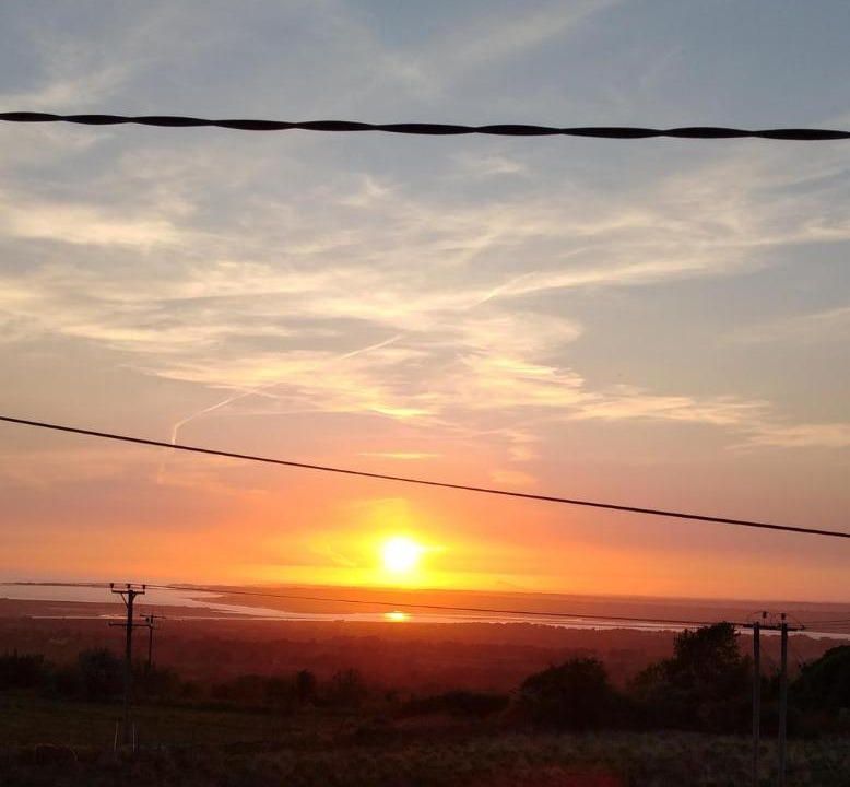 Photo of Others in Dinas