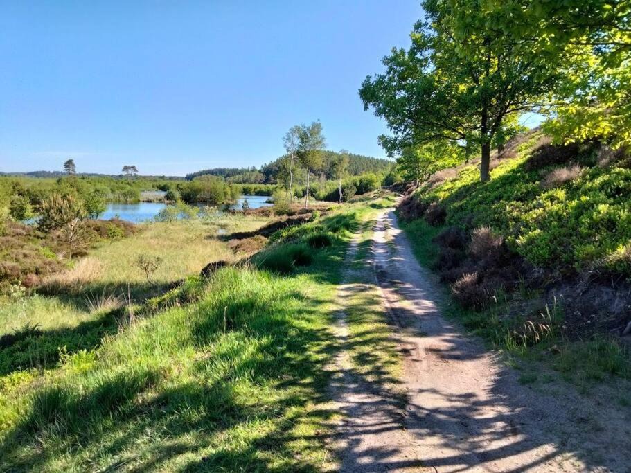 Photo of Outdoor in Silkeborg