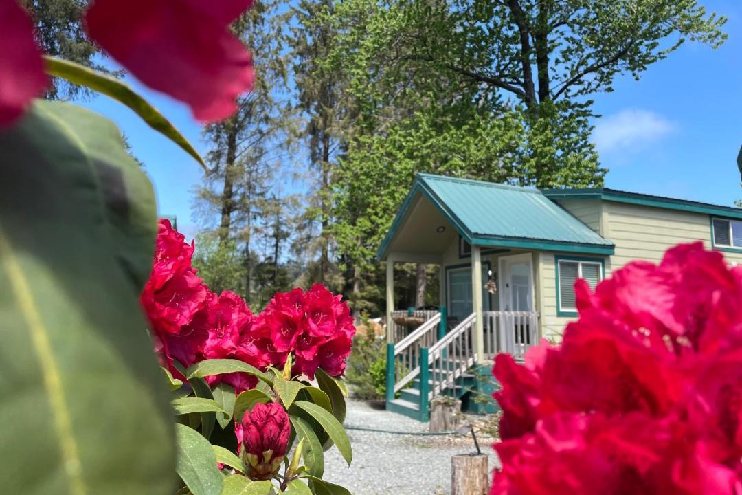 Photo of Others in Bay City