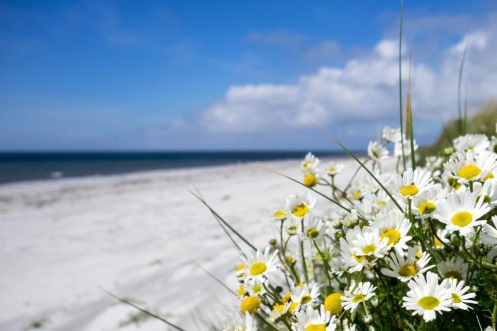 Photo of Others in Pollachar