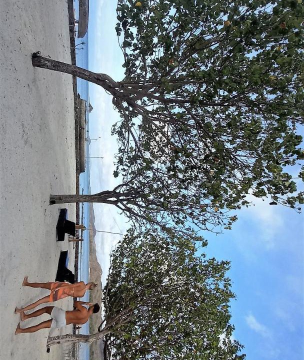 Photo of Others in Gili Gede