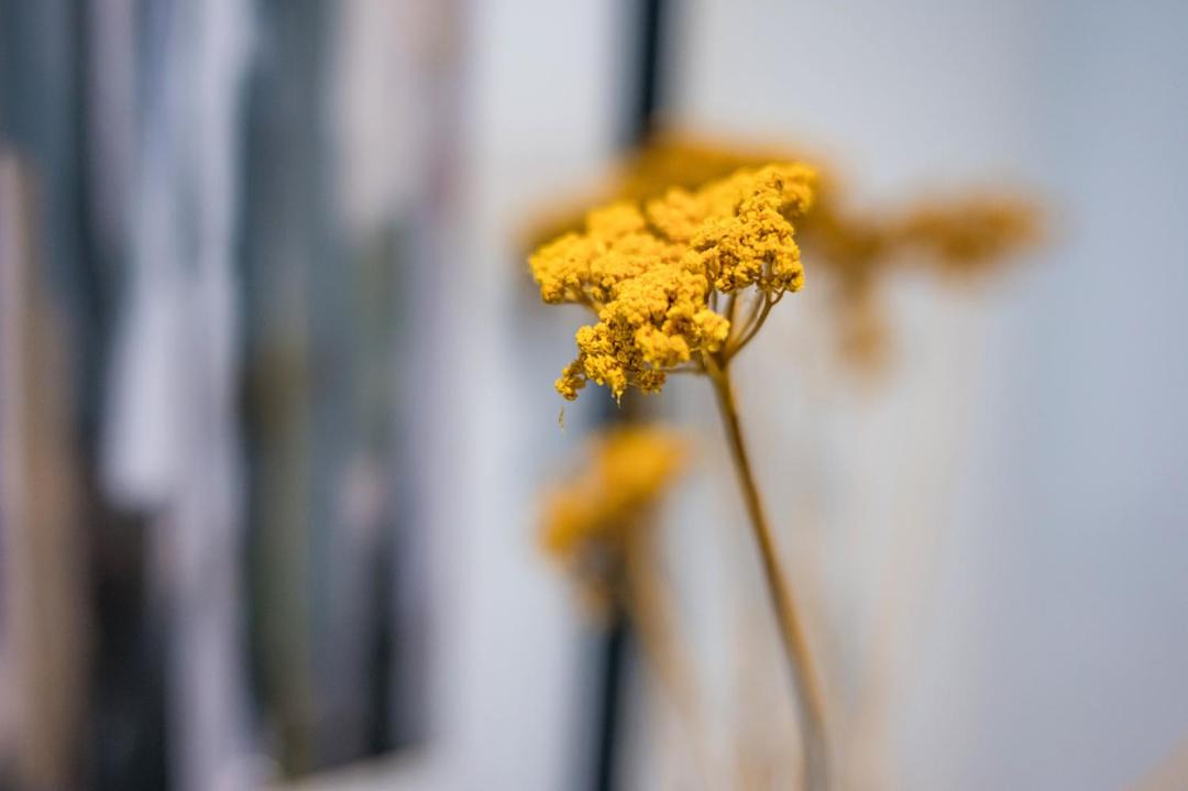 Photo of Bedroom in Brondesbury Park