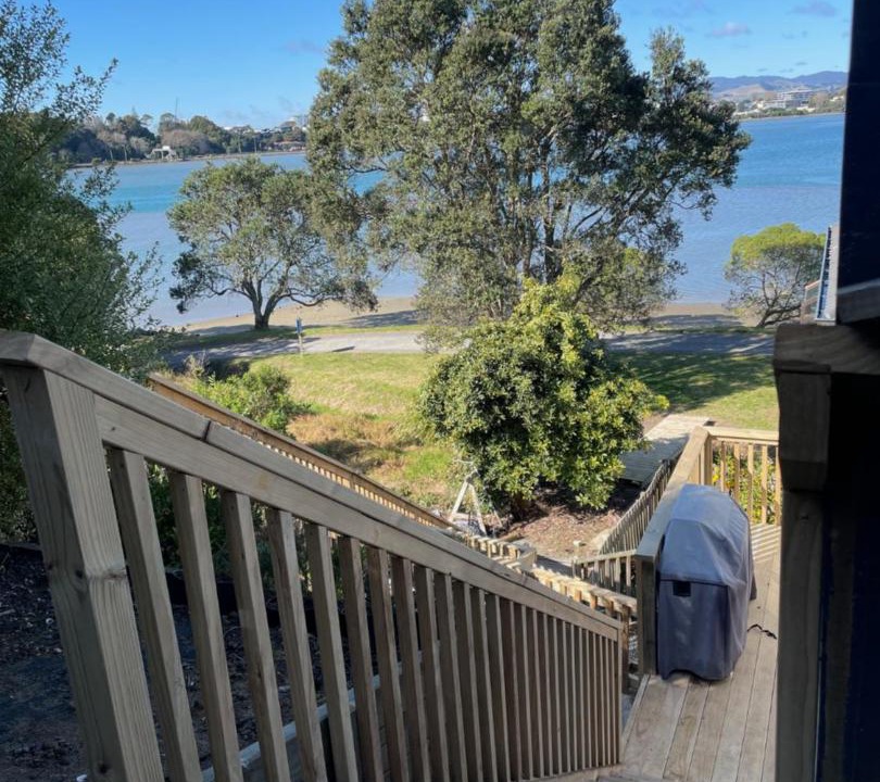 Photo of Others in Otumoetai