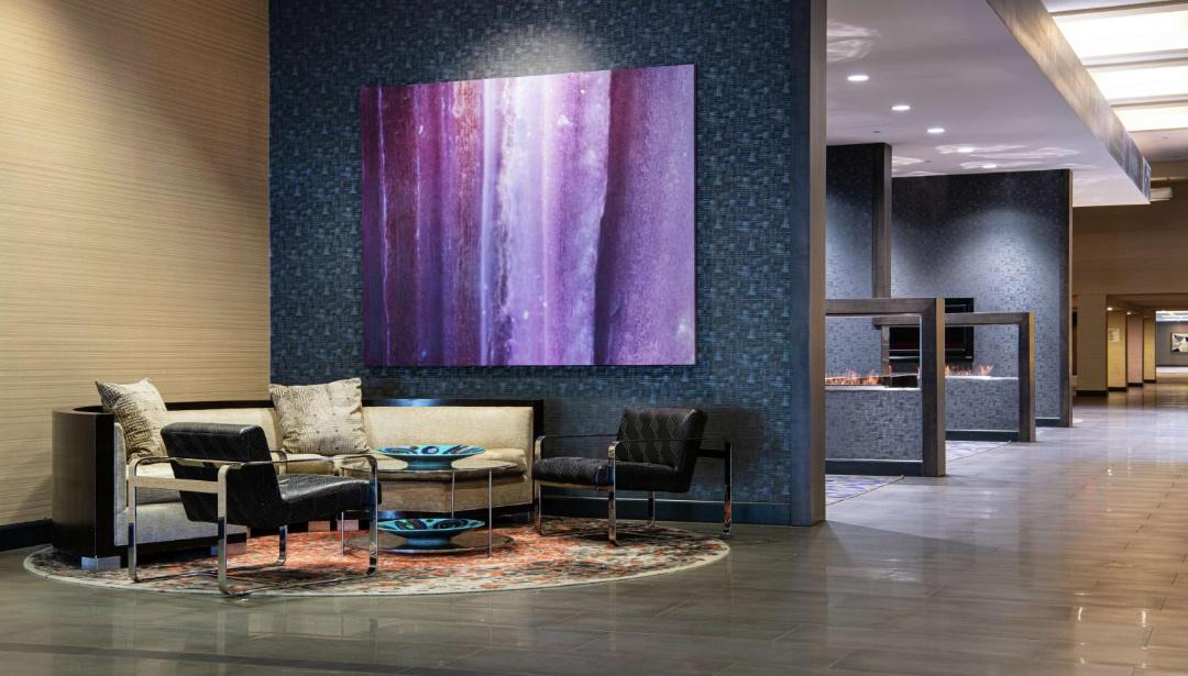 Photo of Others in Cedar Knolls