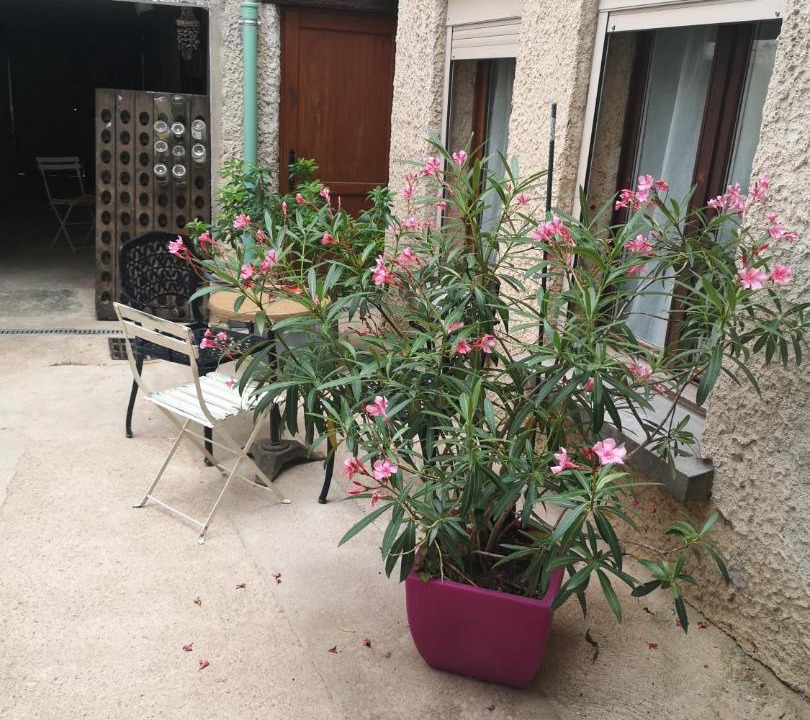 Photo of Others in Hautvillers