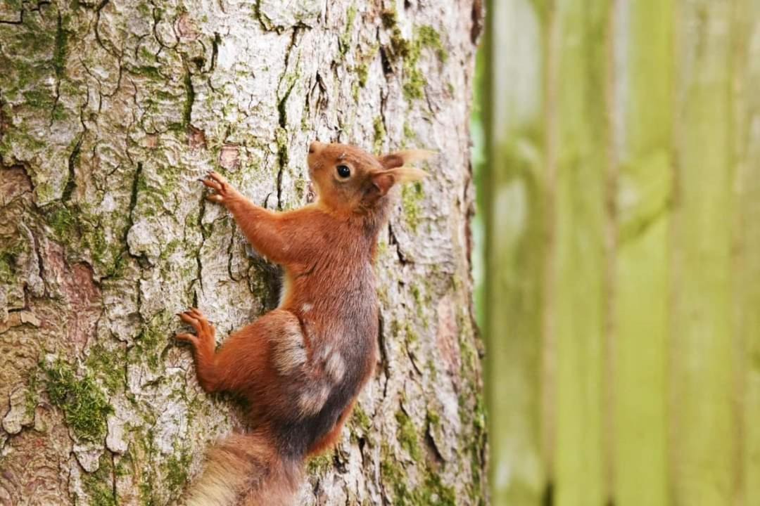 Photo of Others in Selkirk