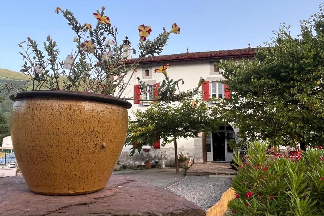 Photo of Others in Hosta