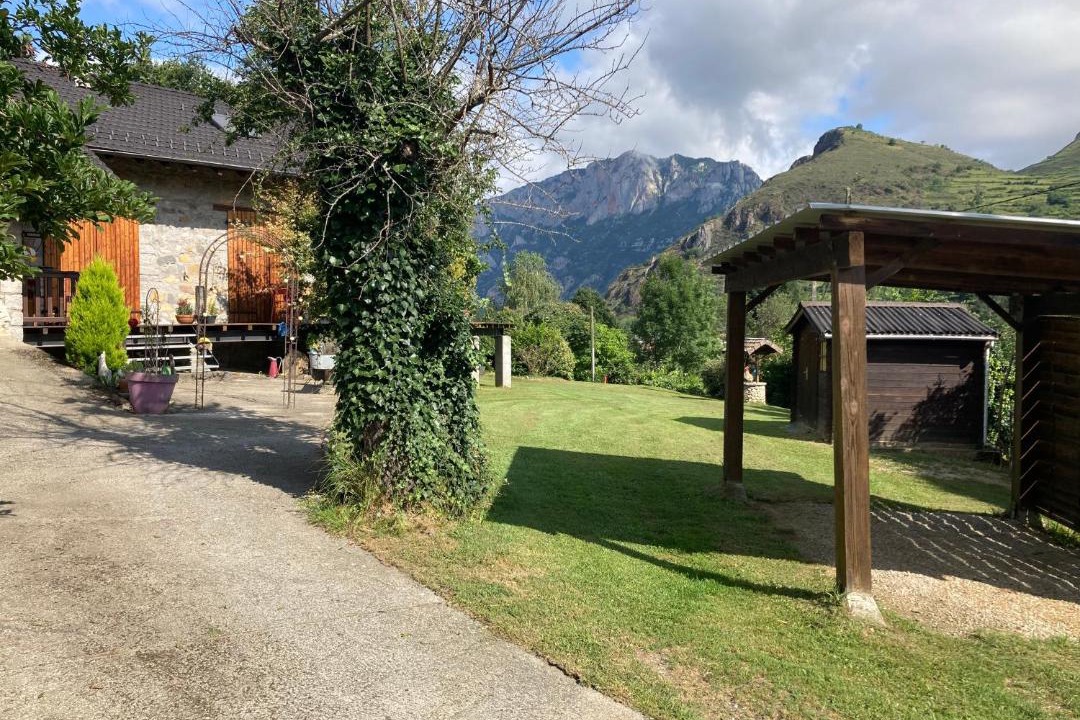 Photo of Others in Albies