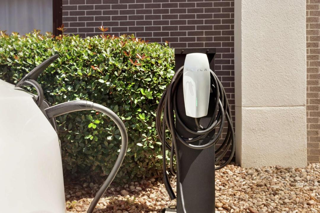 Photo of Others in New Castle