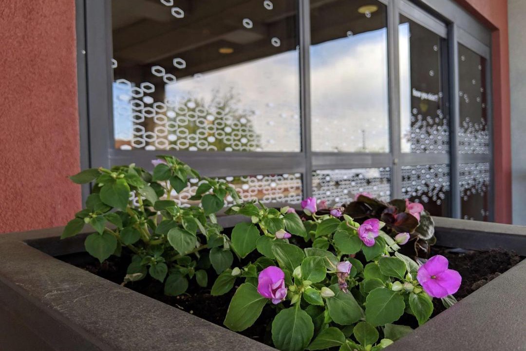 Photo of Others in West Chester