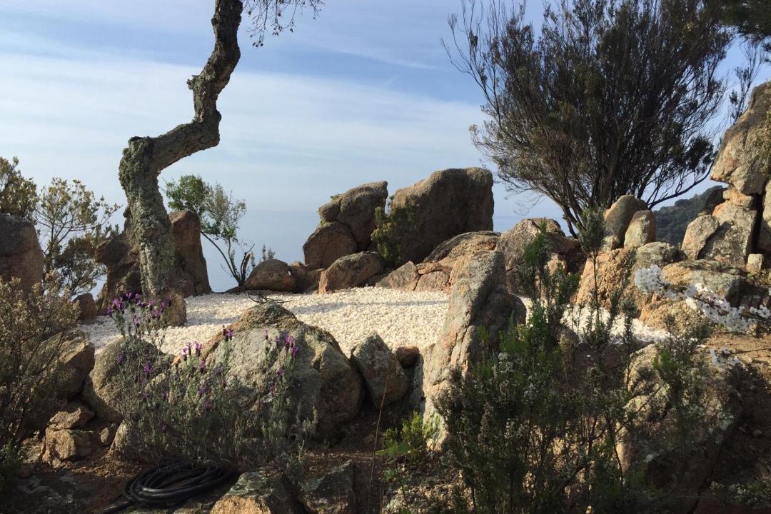 Photo of Others in Tossa de Mar