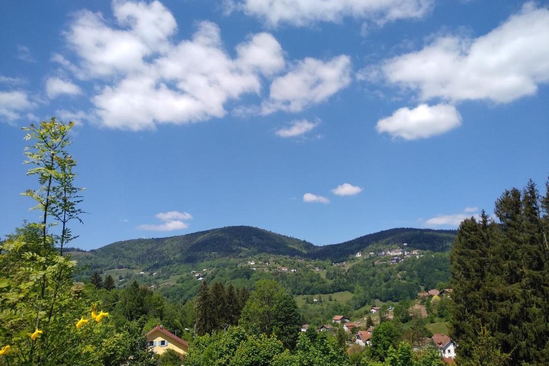 Photo of Others in Bussang