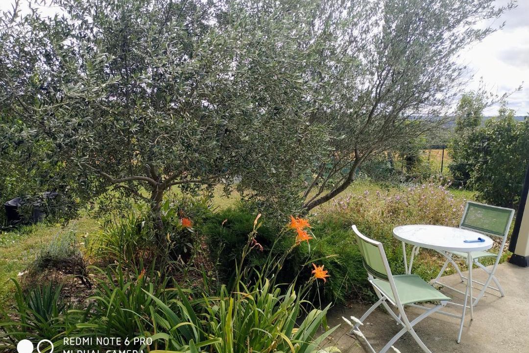 Photo of Others in Pajay