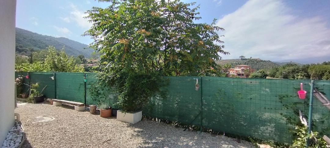 Photo of Others in Pegomas