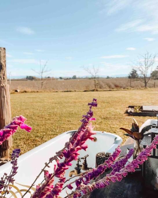 Photo of Others in Haumoana