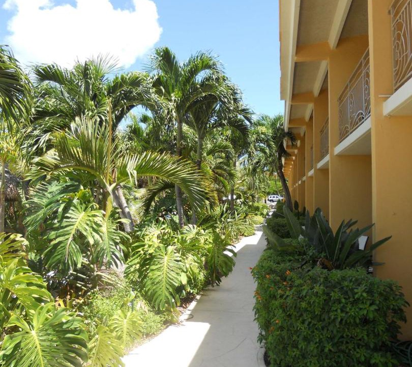 Photo of Others in Key Largo