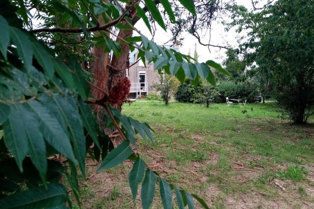 Photo of Others in Peaule