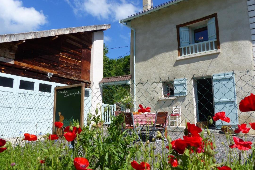 Photo of Others in Appy