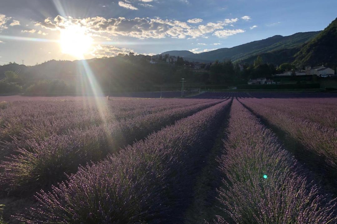 Photo of Others in Curbans