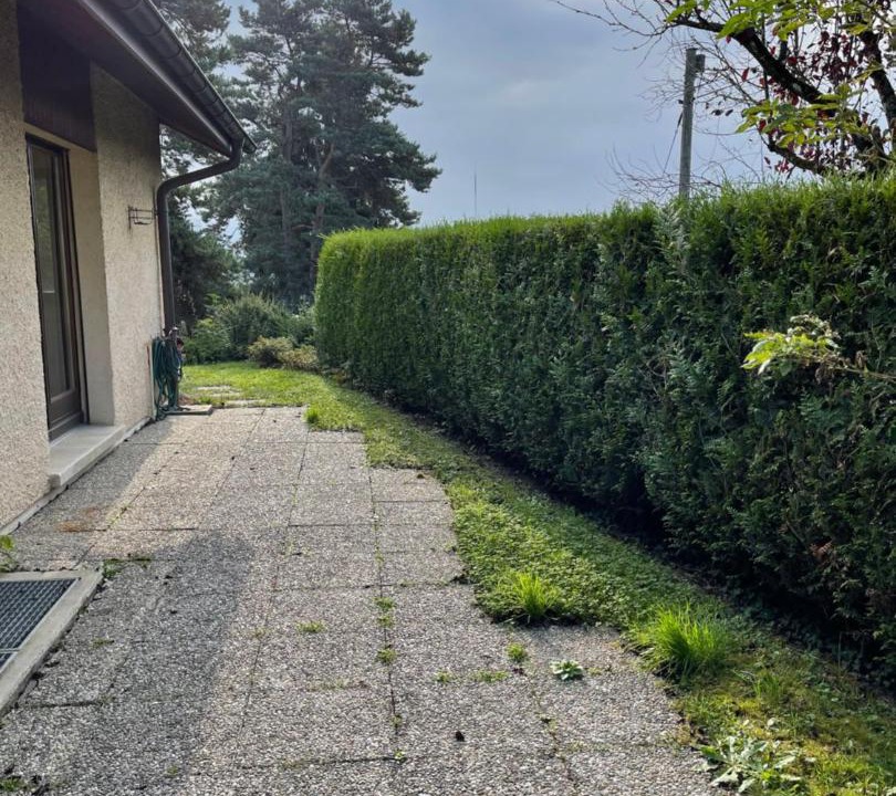 Photo of Others in Vernier