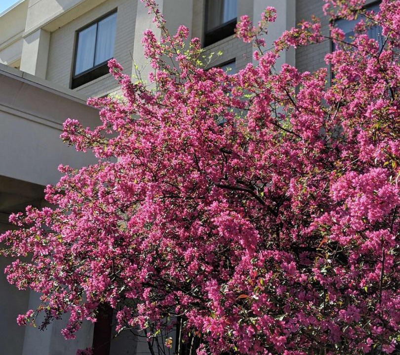 Photo of Others in West Chester