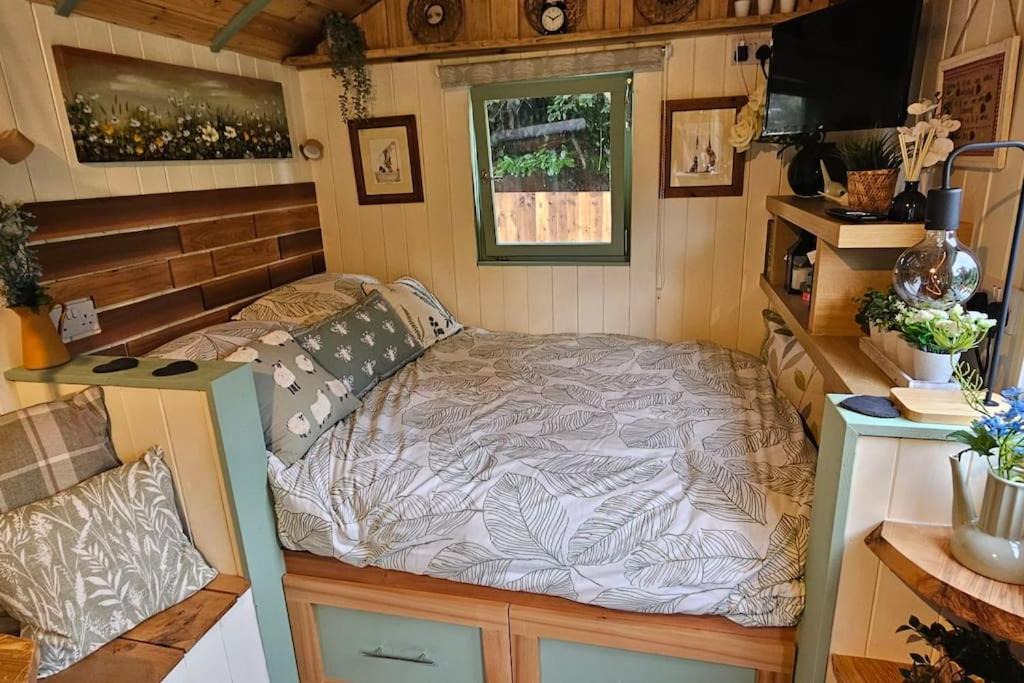 Photo of Others in Northampton