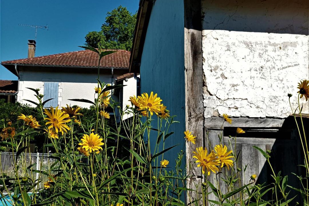 Photo of Others in Pouillon