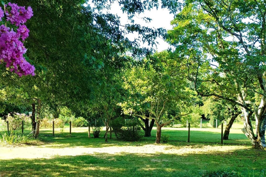 Photo of Others in Pouillon