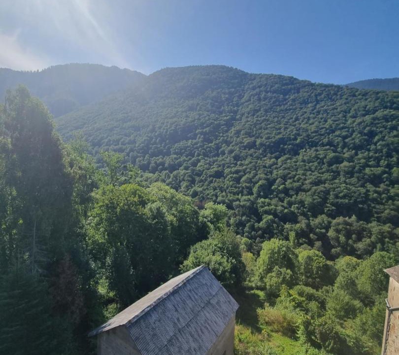 Photo of Others in Melles