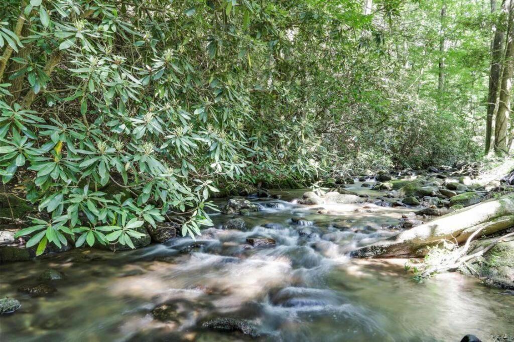 Photo of Others in Blue Ridge