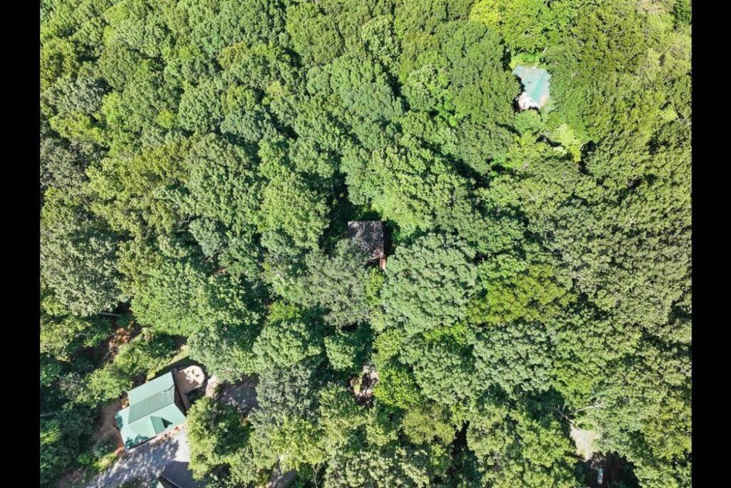 Photo of Outdoor in Blue Ridge