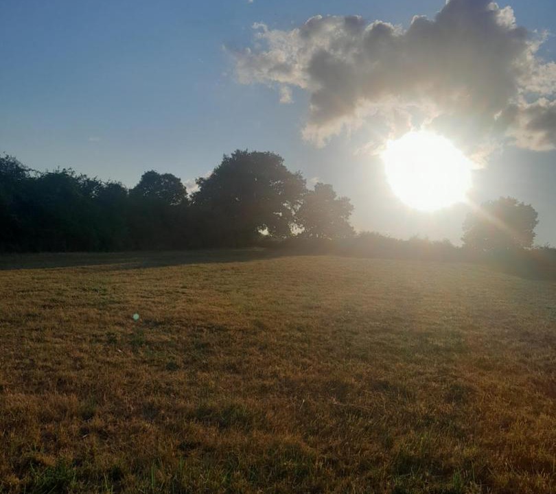 Photo of Others in Belabre