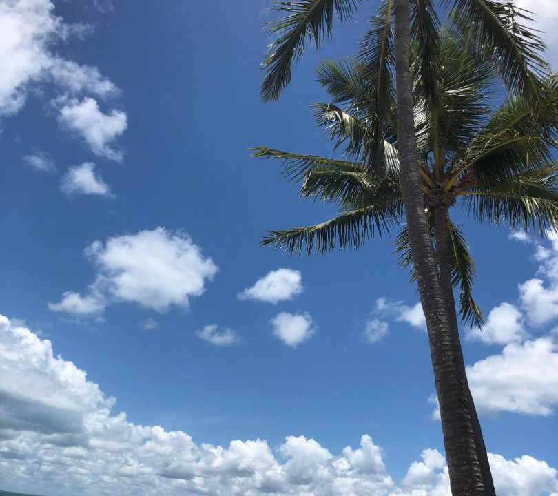 Photo of Others in River Heads