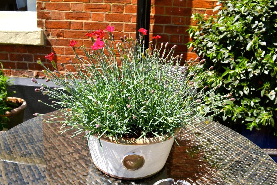 Photo of Others in Olney