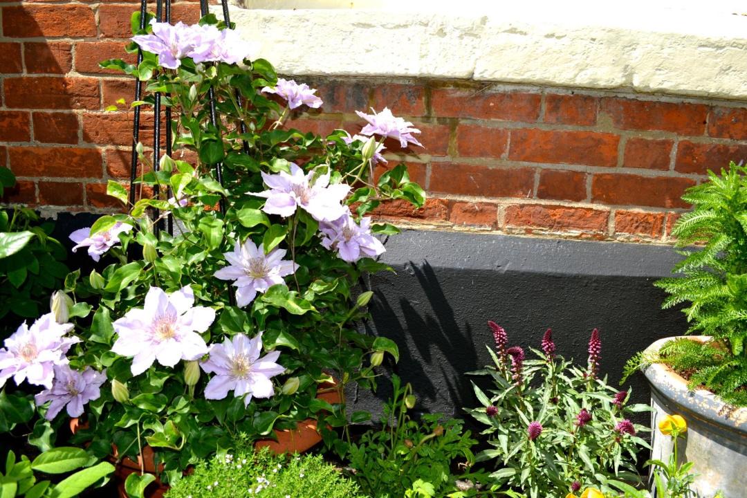 Photo of Others in Olney