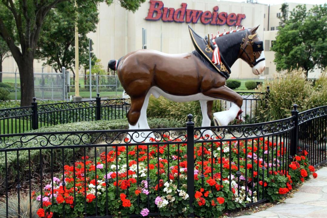 Photo of Others in Fairfield