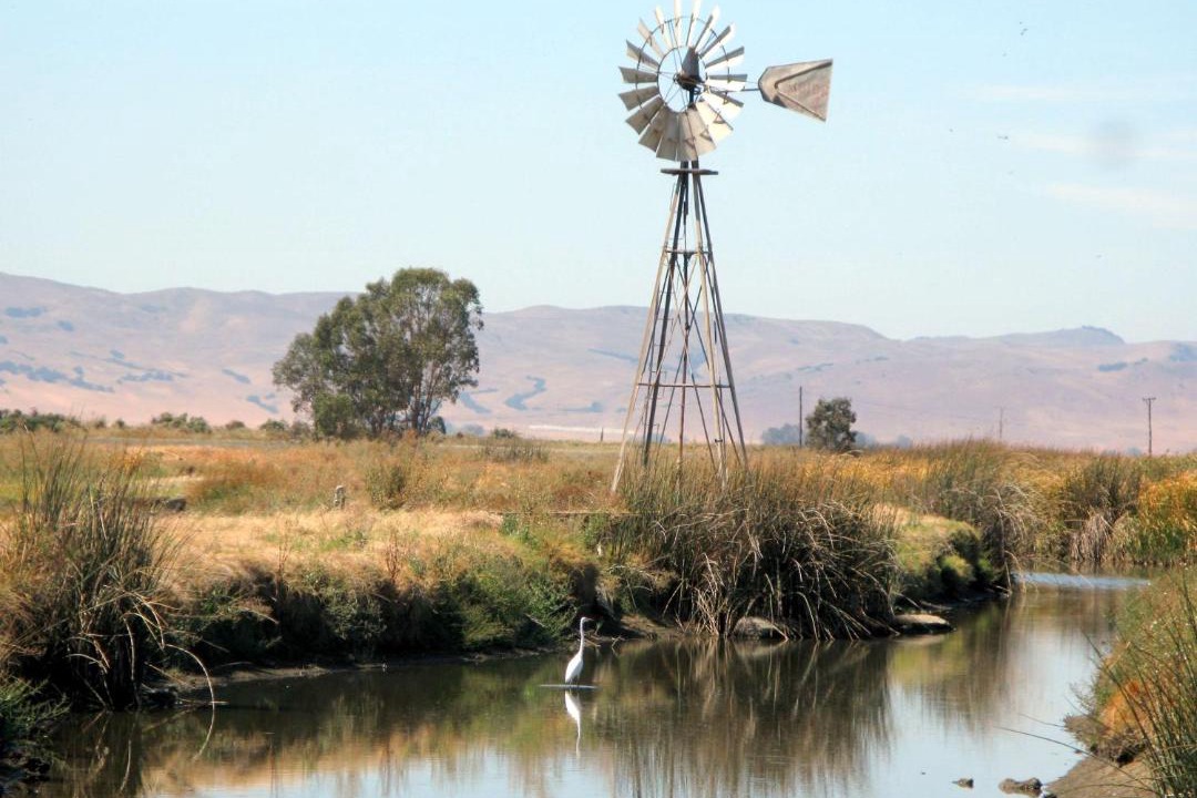 Photo of Others in Fairfield