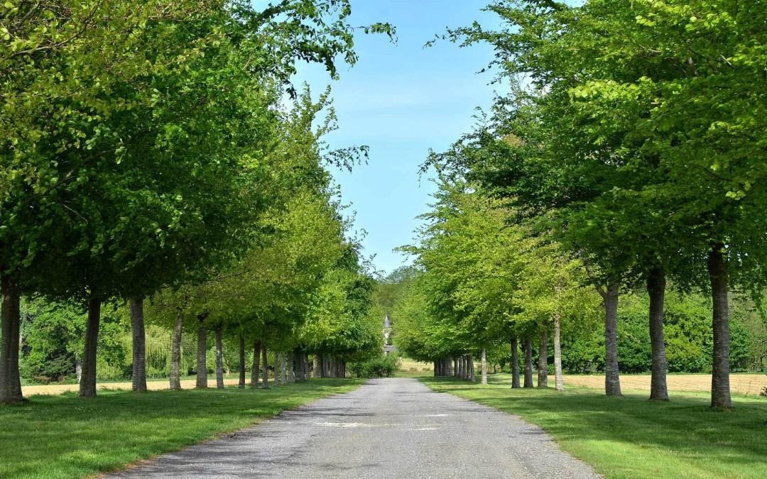 Photo of Others in Pleugueneuc