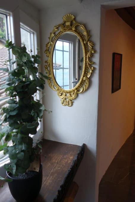 Photo of Others in Brissago