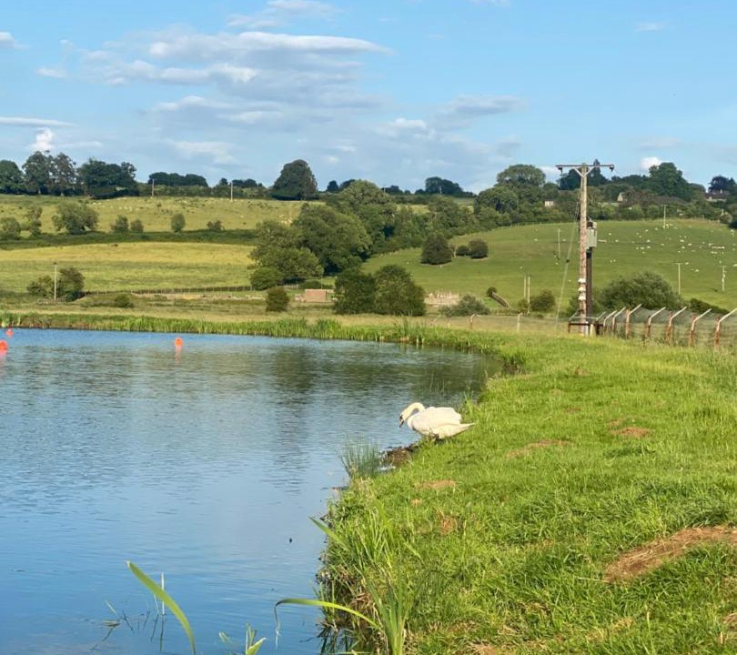 Photo of Outdoor in Stamford